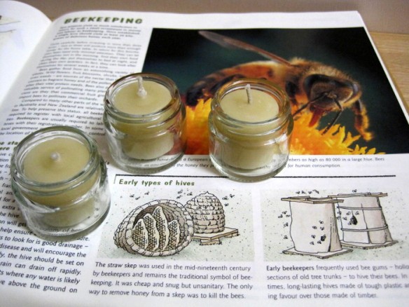 Beeswax candles, as provided by nature
